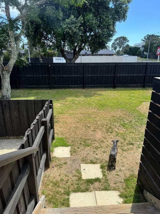 Ultimate Family Holiday - Pet Friendly! Papamoa Buitenkant foto